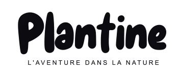 Plantine Saint-André - 40390 - Saint-André-de-Seignanx - Créche