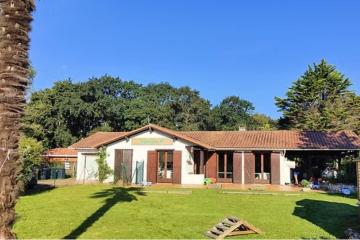 Plantine Saint-André